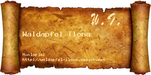 Waldapfel Ilona névjegykártya